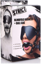 Load image into Gallery viewer, Blindfold Harness + Ball Gag