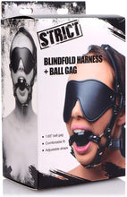 Load image into Gallery viewer, Blindfold Harness + Ball Gag
