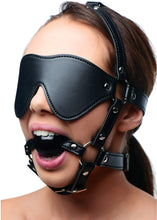 Load image into Gallery viewer, Blindfold Harness + Ball Gag
